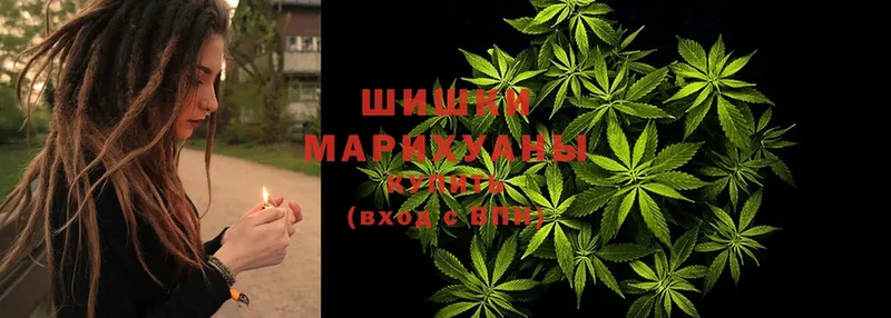 купить   Бахчисарай  Бошки марихуана план 